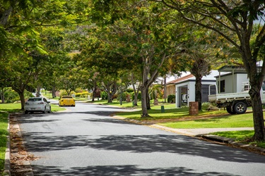 A tree-lined residential street with modern homes