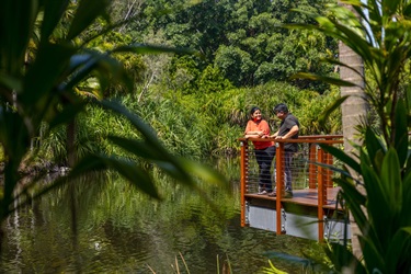 A woman and man are standing on a wooden platform, happily looking at each other, overlooking a lake surrounded by green trees and vegetation.