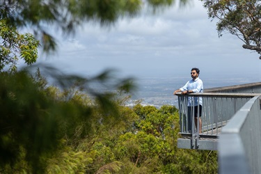 A man leans against the railing of an elevated boardwalk, looking over the tops of trees withe Rockhampton visible in the distance