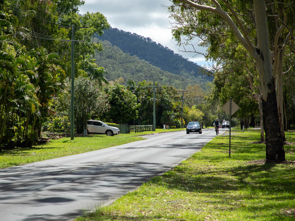 Cars and a cyclist travel along a residential street, surrounded by trees and with a mountain in the distance