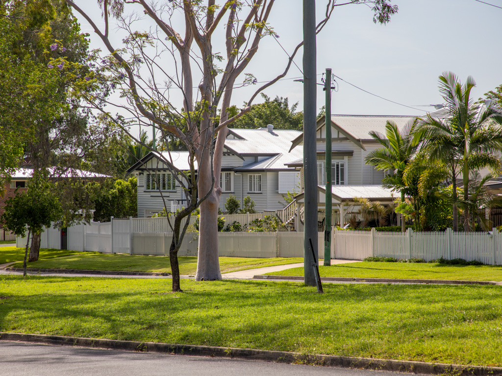 A row of well-kept Queenslander style homes in a green street